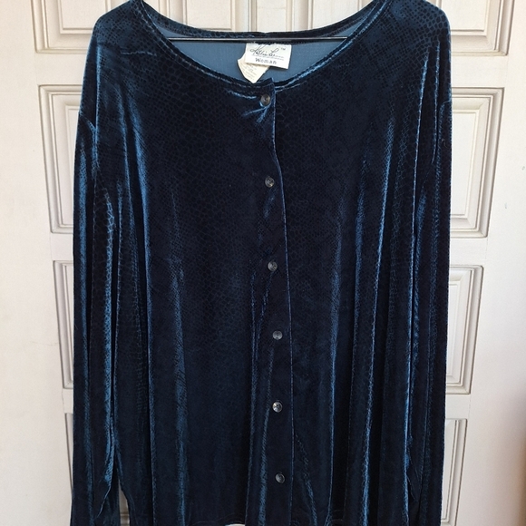 Kathi Lee Blouse Button Front DkBlu Velour PlusSz 26W-28W Long Sleeves See Tags - Picture 10 of 11